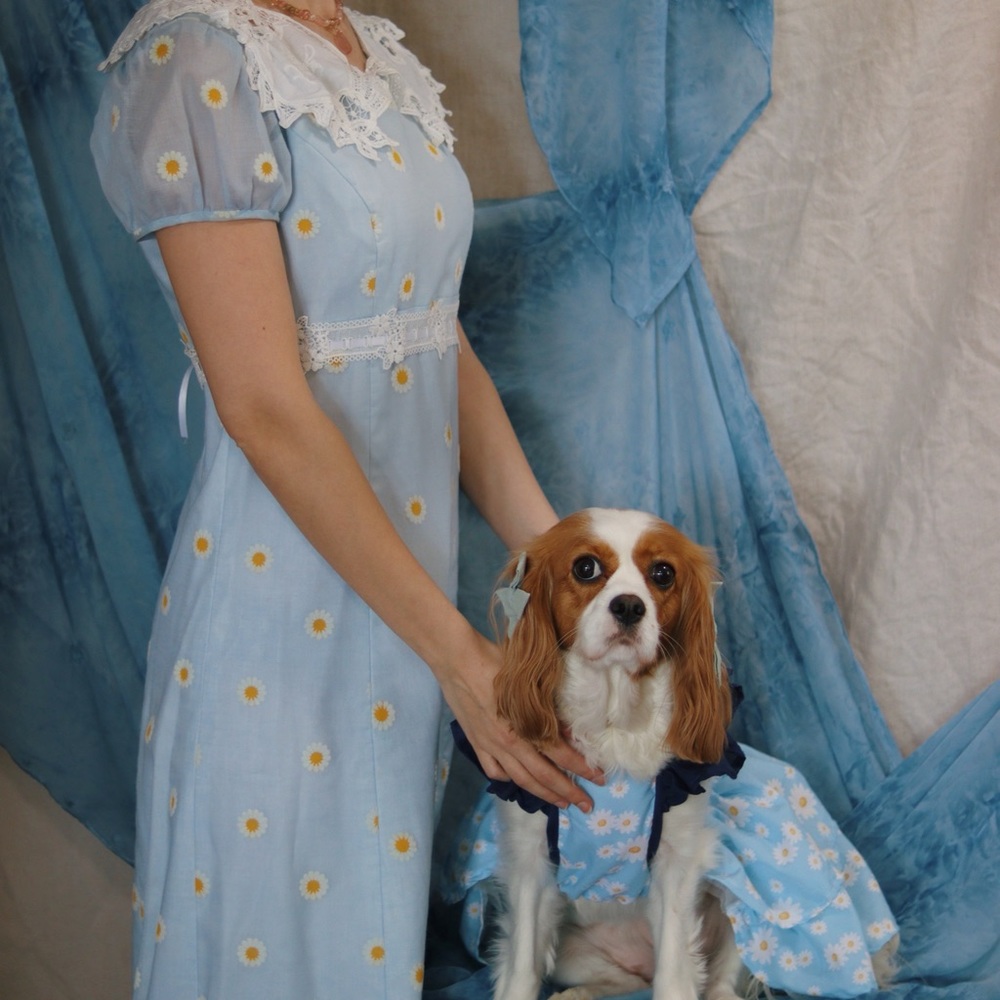 Regency style empire waist Bridgerton blue dress